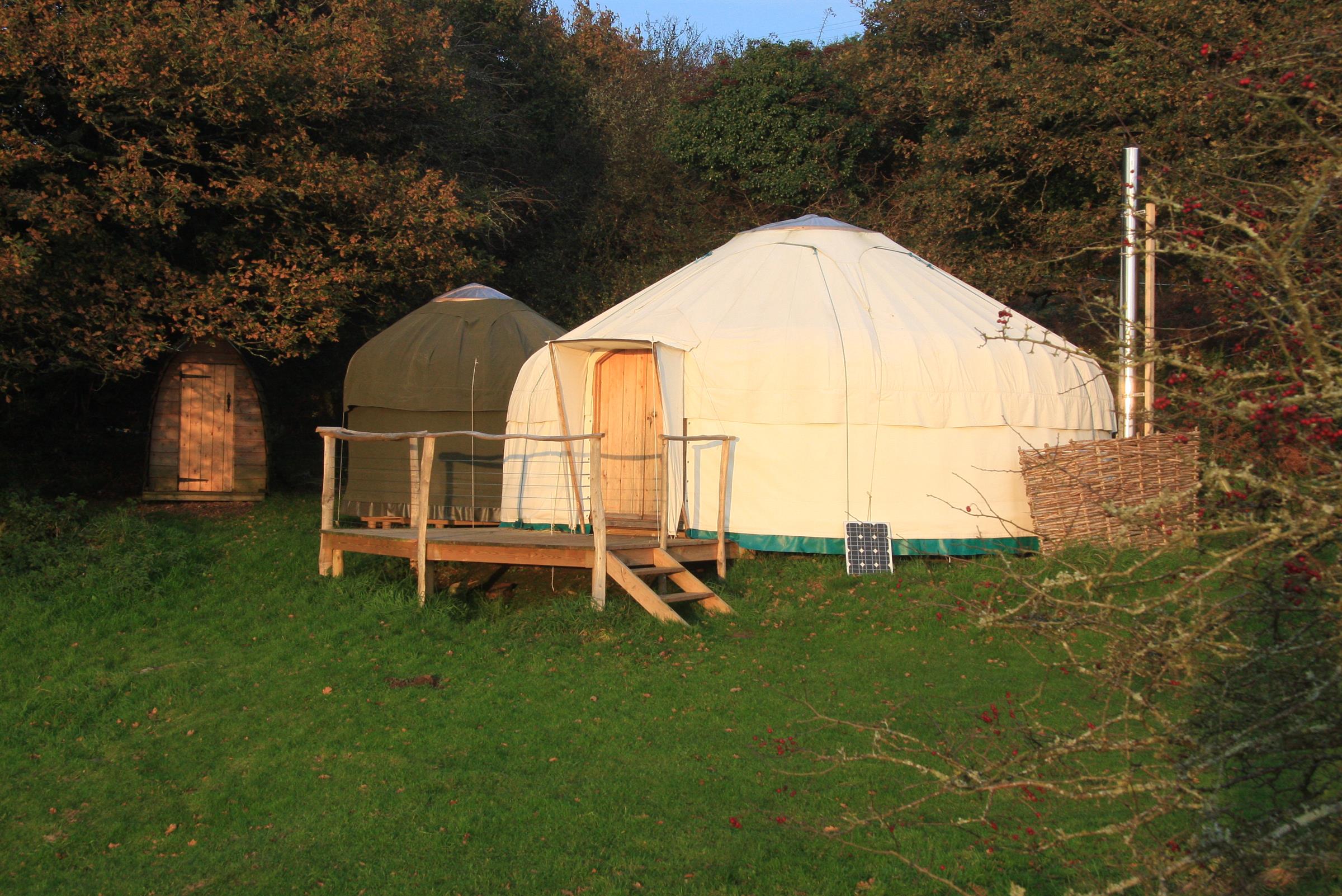 20ft Ash Field Yurt with pod sleeps 6