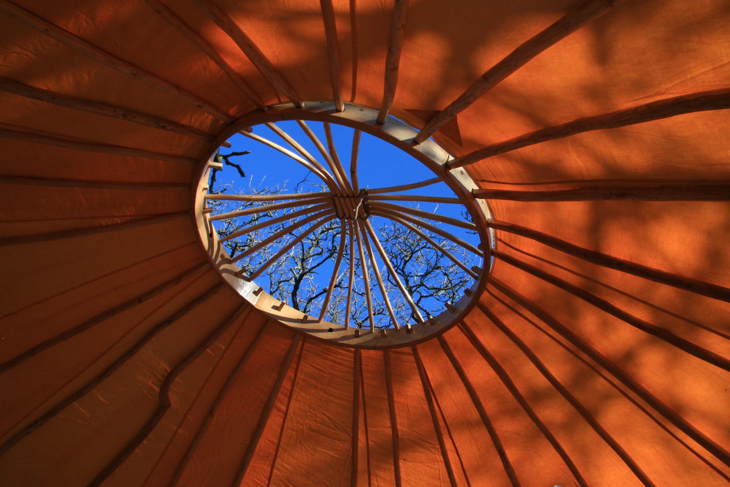 view of the sky and trees through the wheel of the yurts